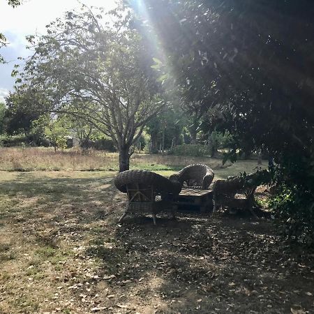 Maison Chaleureuse Et Calme Panazol Exteriör bild